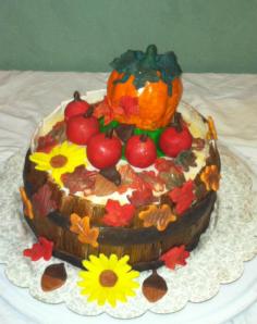 310601_314229748589293_880688602_n