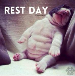 Sleeping-Dog-Rest-Day