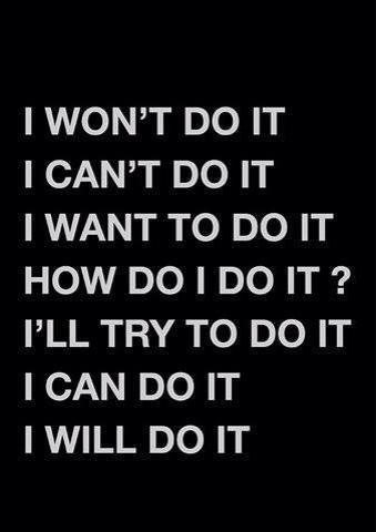 10686949_1498527800396690_6555815312635136764_n