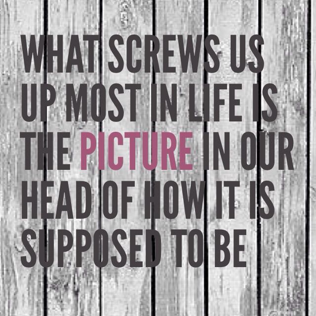 8e44d9bde3909704812d6fc518660407